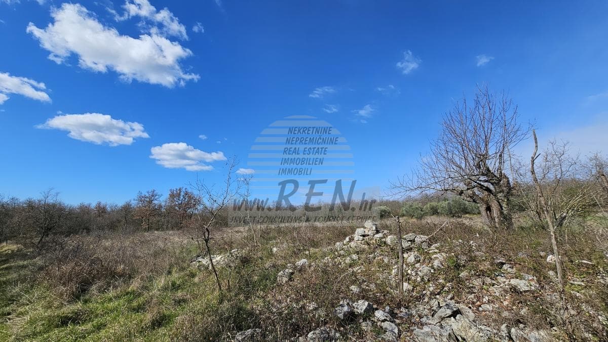 Grundstück in der Nähe von Umag, umgeben von Wald und Natur