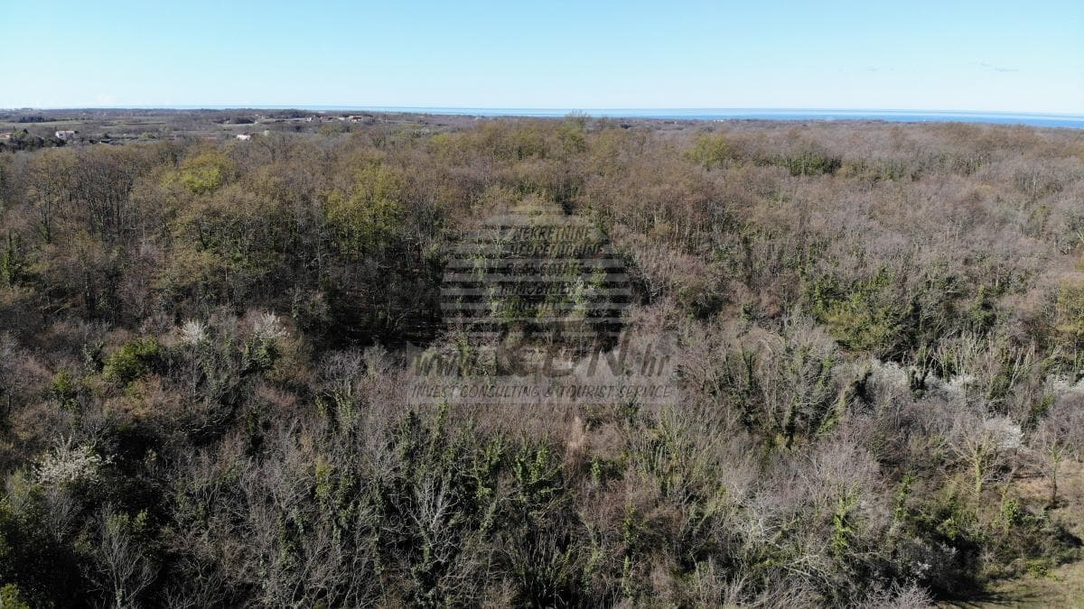 Land in der Nähe von Umag
