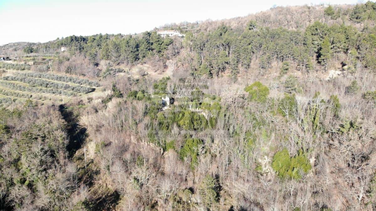 Veliko imanje sa ruševnim kamenim kućama u okolici Grožnjana