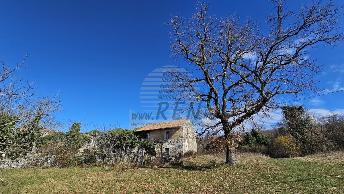 Stone house in the vicinity of Buje (1/8)