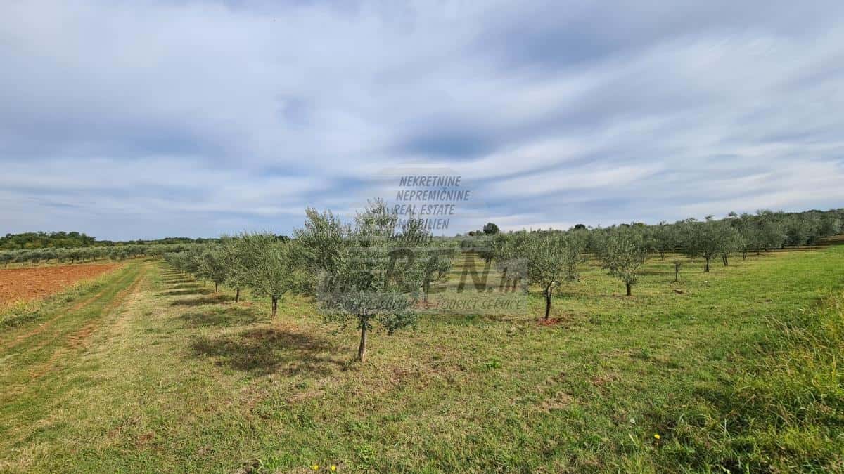 Landwirtschaftliche Flächen in Novigrad