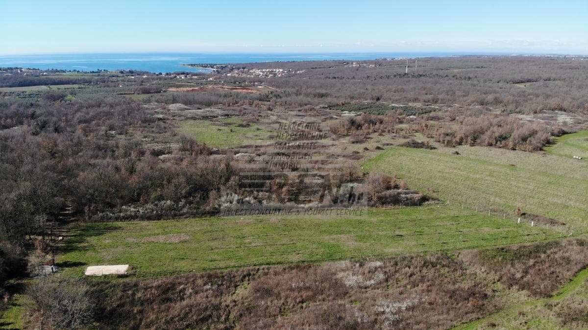 Land in der Nähe von Novigrad (1/5)