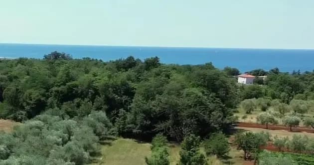 Attraktives Baugrundstück nahe dem Meer in Umag – 1.156 m²